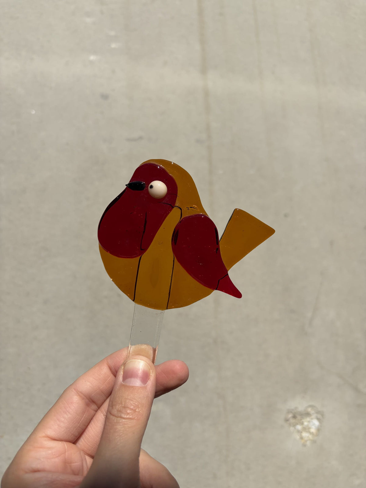 Friend in a Pot - Vogel Bernstein
